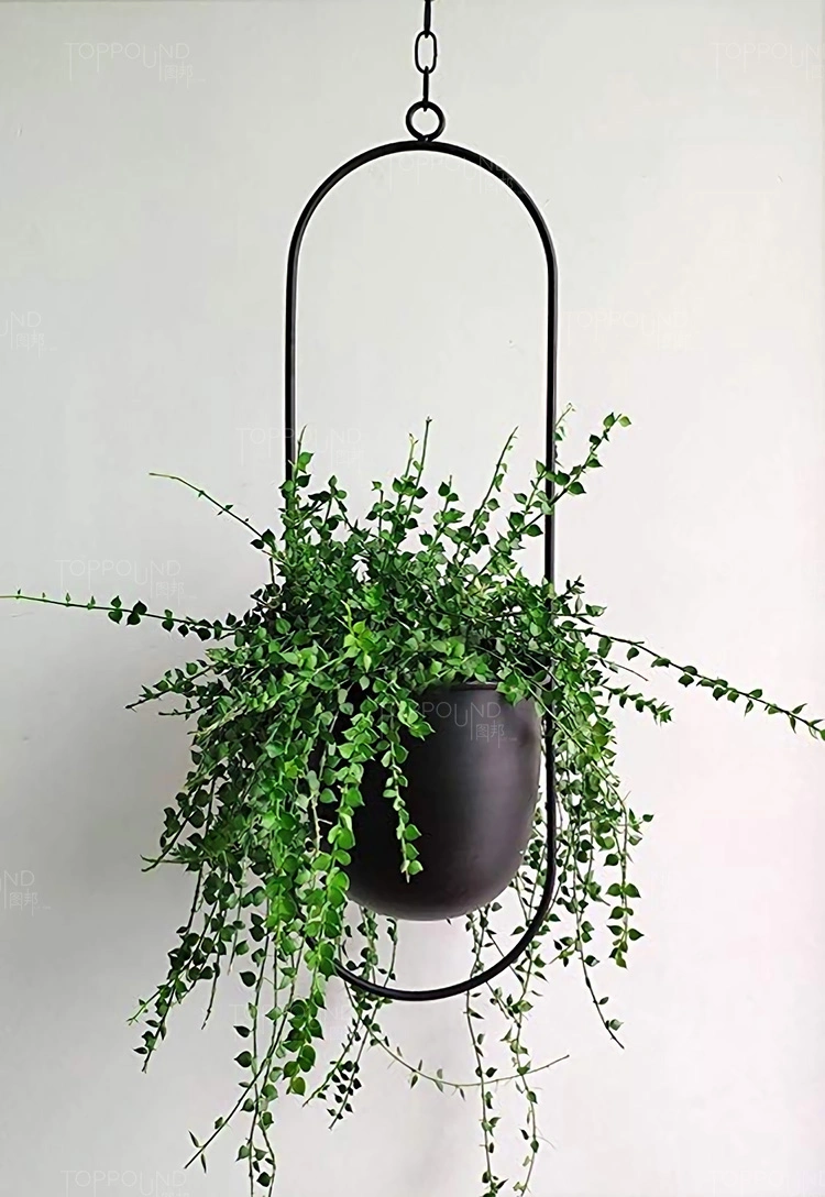 Hanging Planters for Indoor & Outdoor Plant with 6